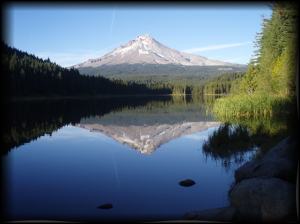 Trillium Tee Shirt Photo