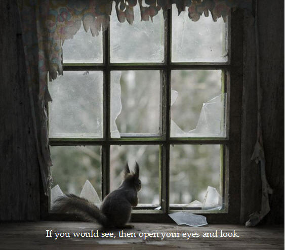 If you would see, look