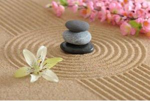 Zen Garden Perfection of Yin and Yang